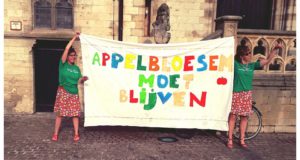 LSP-appelbloesem-2.jpg