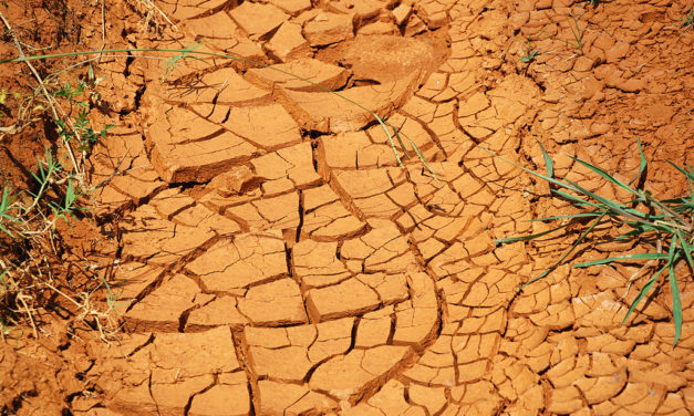 Dry_Ground.jpg