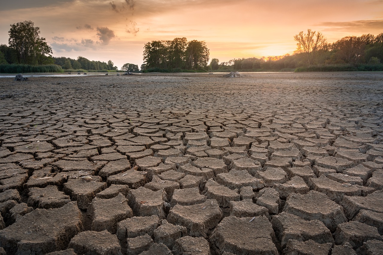 De dringende noodzaak van systeemverandering – de verwoestende vooruitzichten van toenemende langdurige droogtes