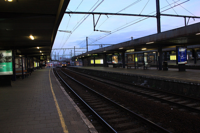 14541190005_e286ef28dd_z