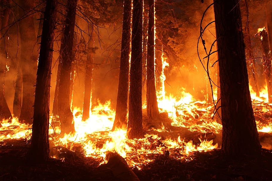 brand