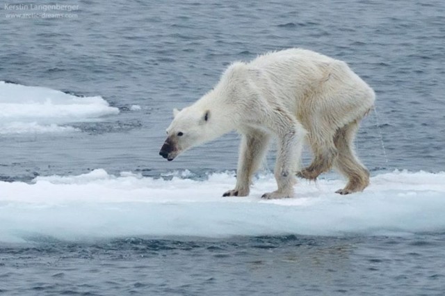 climatechange