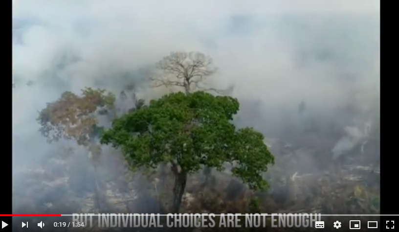 video-climate