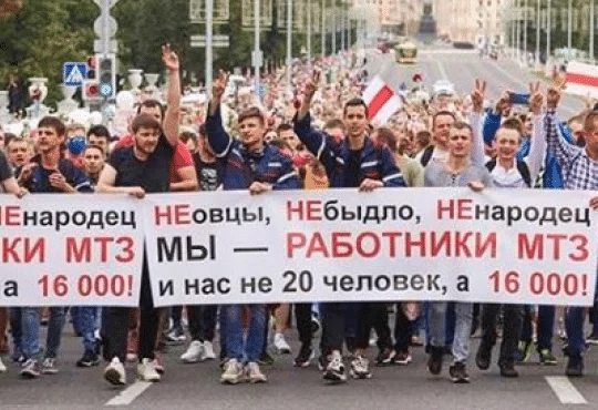 witrusland-